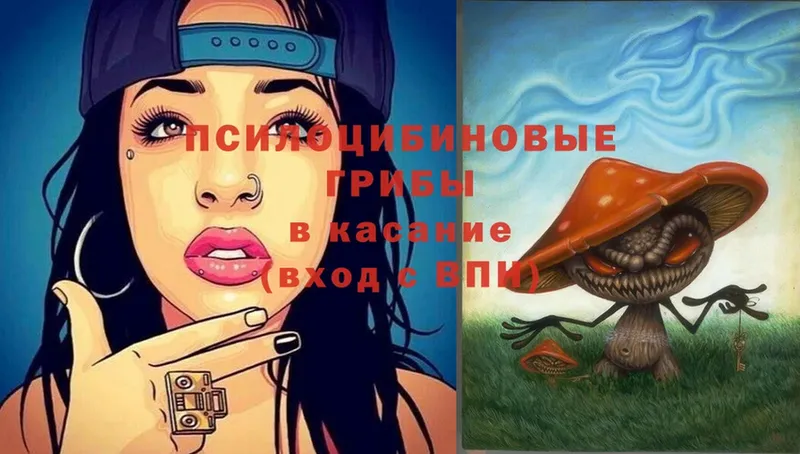 OMG ссылка  Мышкин  Псилоцибиновые грибы Magic Shrooms 